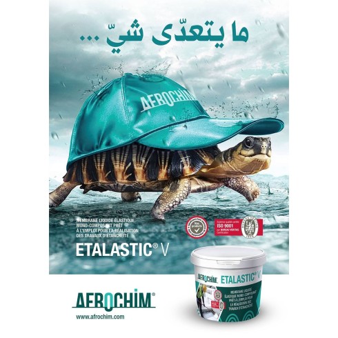 ETALASTIC V 5Kg